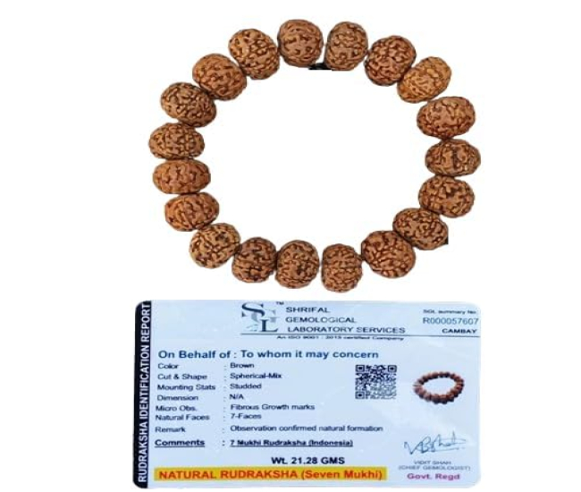 7 Mukhi Lab Certified Rudraksha Bracelet