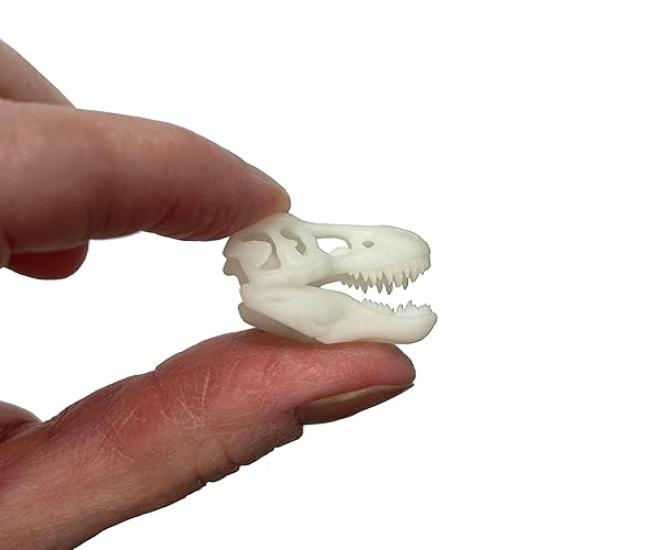 Miniature 1:12 Scale Tyrannosaurus Rex Skull Decorative Unique Decor Dollhouse Shelf Resin Accessory  